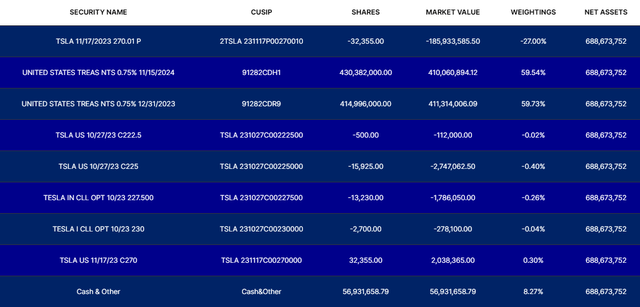 TSLY holdings